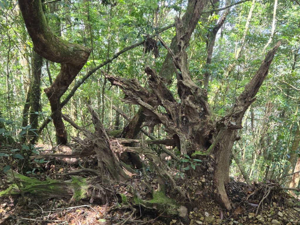 哈堪尼山_2761958