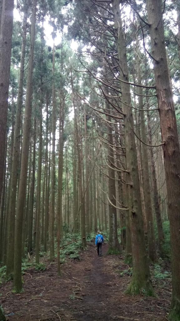 高台山，高島景觀台連走_388193