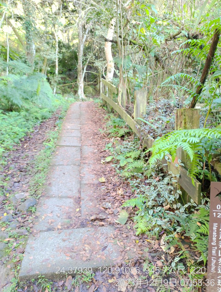 20231209_馬那邦山_2374532