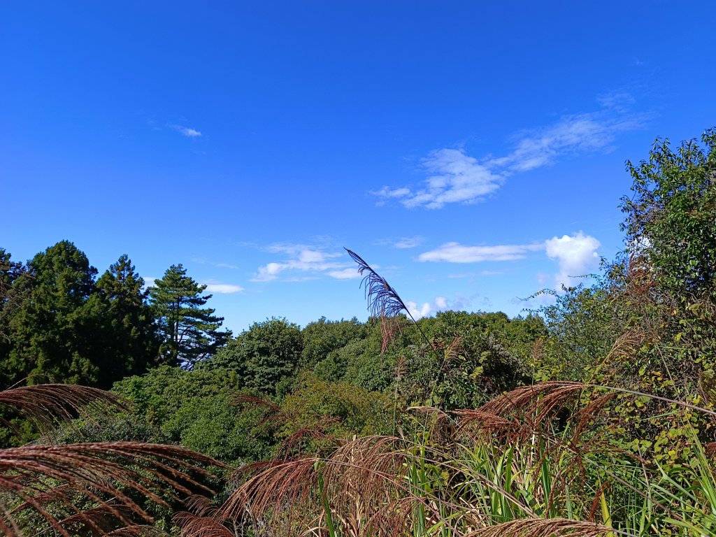 馬崙山之美_2349107