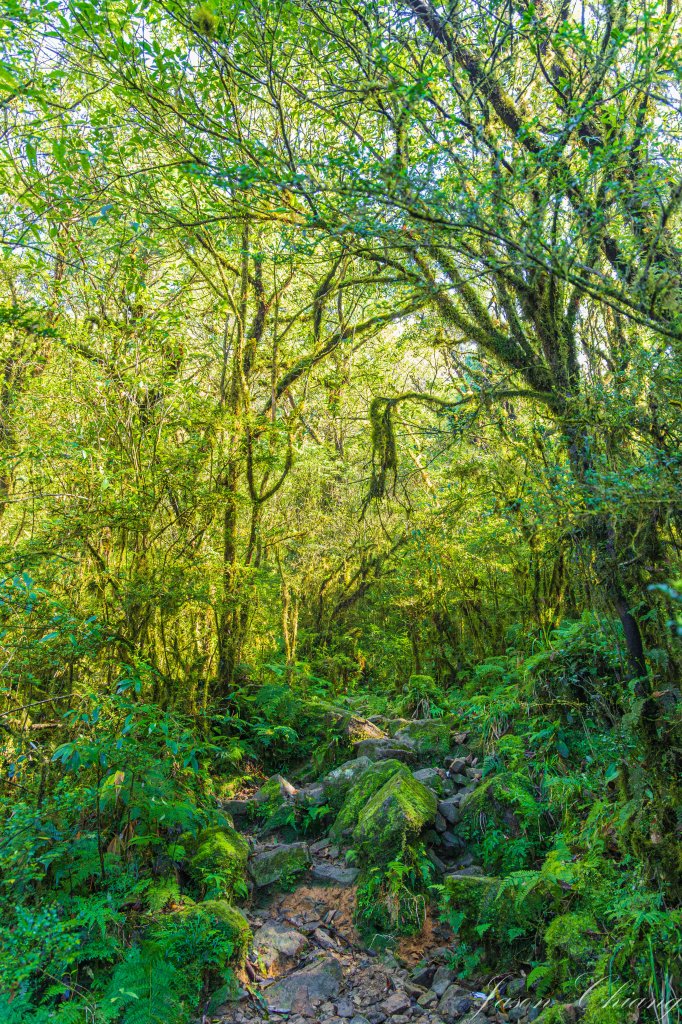 [宜蘭]松蘿湖_2663008