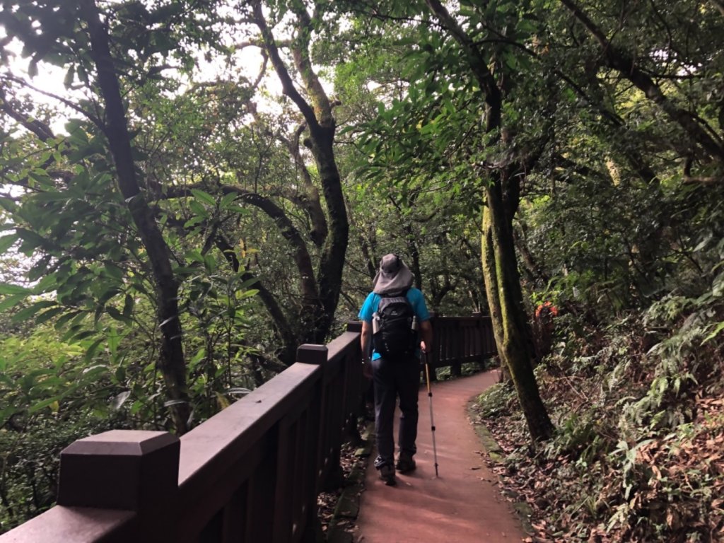 1080724大屯山主峰_636382