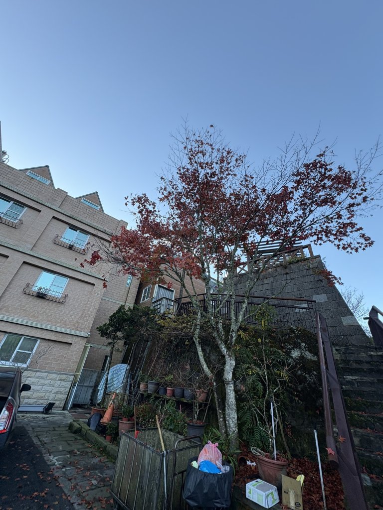 20251225塔山步道(大塔山)_2970220