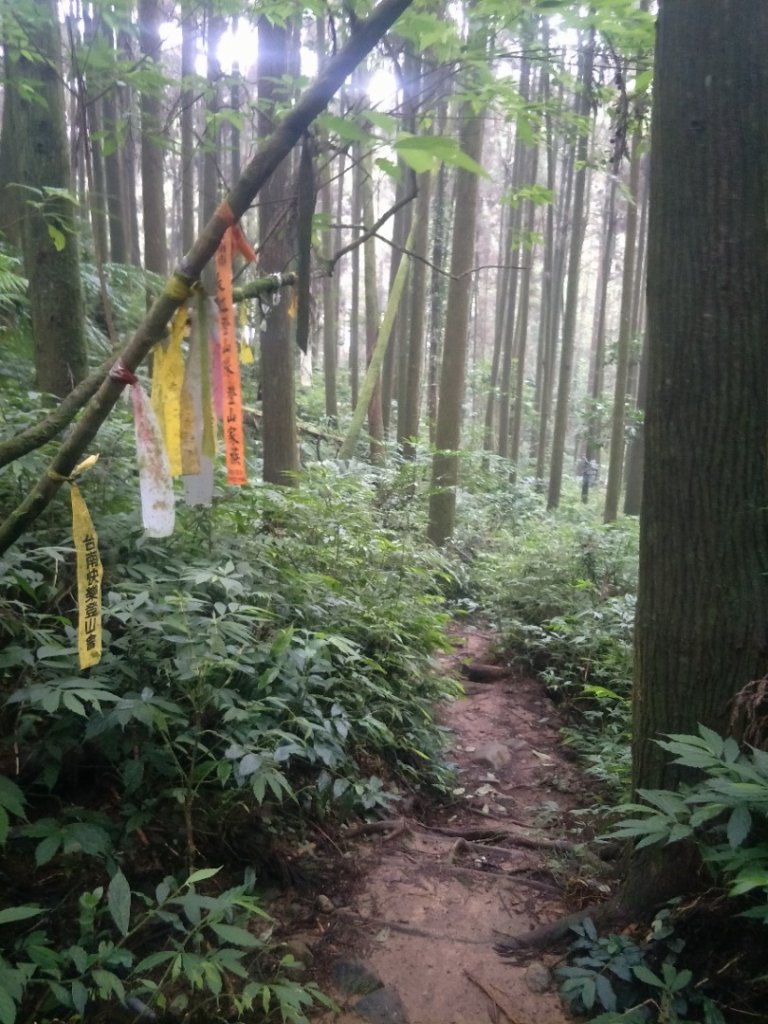 竹崙、志騰山步道(竹崙古道)_1452914