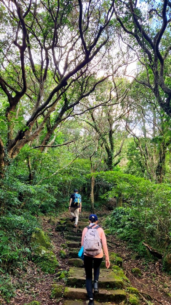 臺北大縱走第一段加碼版，忠義山，向天山，面天山，永春寮環狀步道，四季長廊觀景台，鳳梨宅，大屯自然公園_1921198