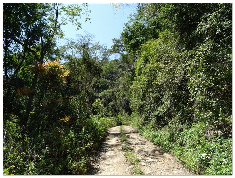 沙蓮山西南峰、砂連山連走(台中/和平)_1664193