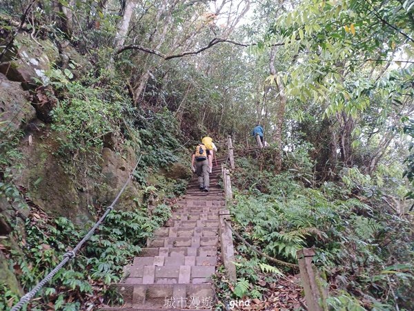 【苗栗大湖】山頂展望佳等到雲海。 馬那邦山登山步道_2806807