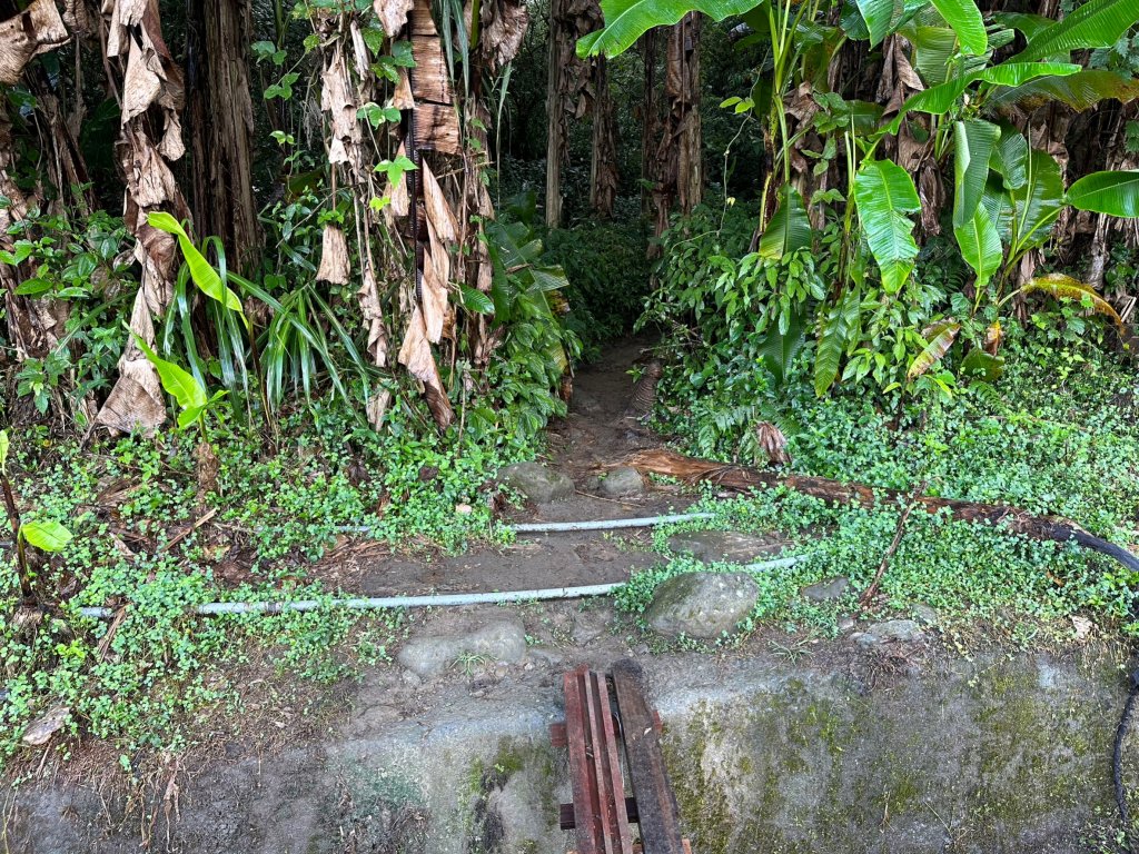 陡上陡下的溪頭鳳凰山封面圖