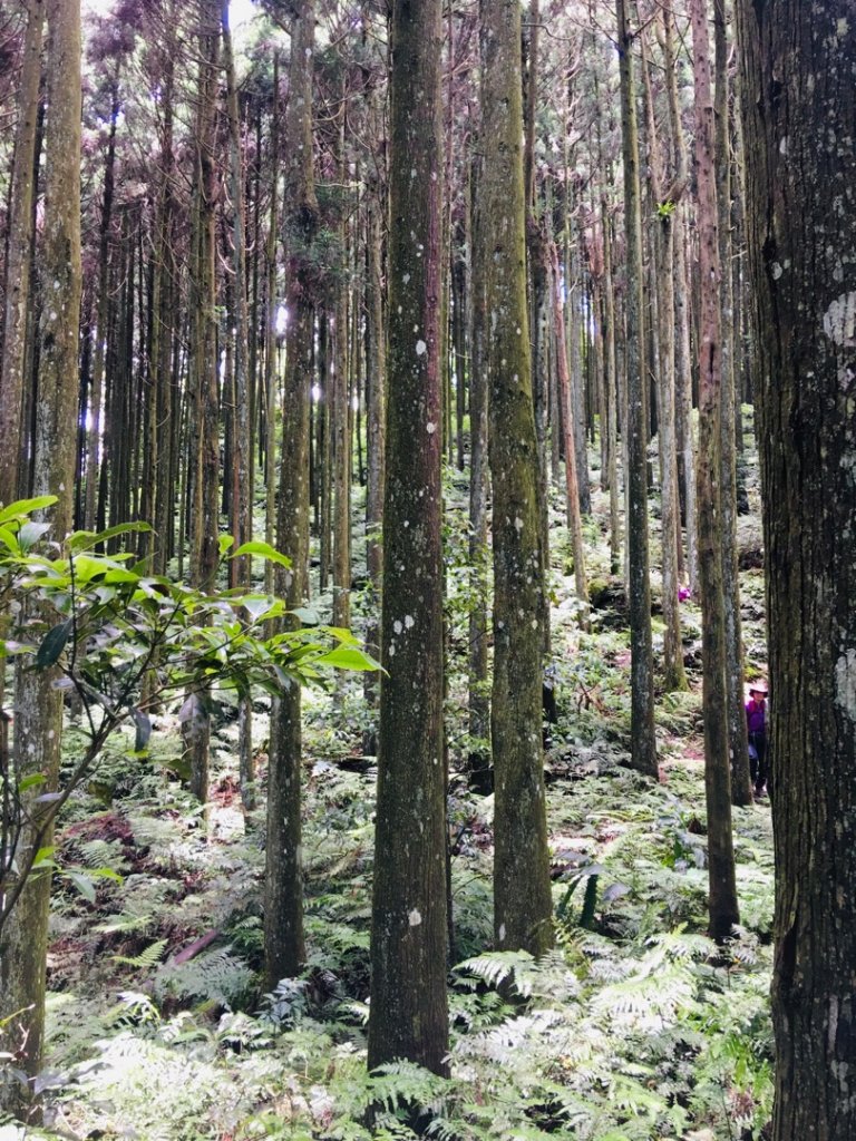 1090615向天湖山.光天高山環走_999078