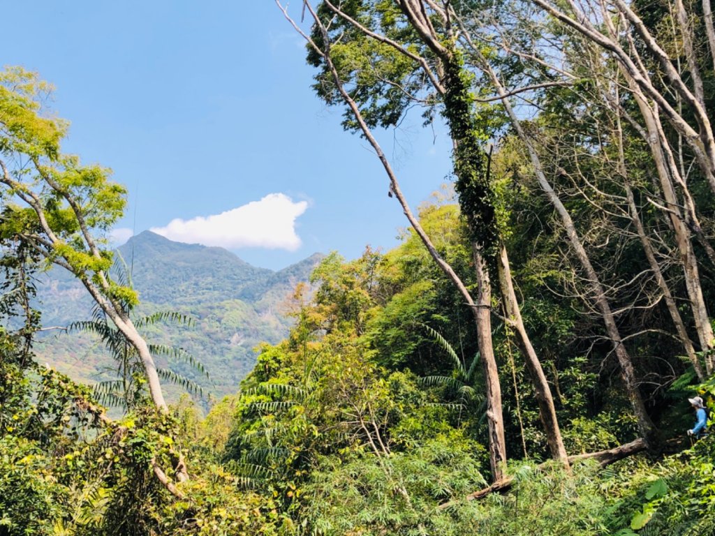 1090307上島山_870914