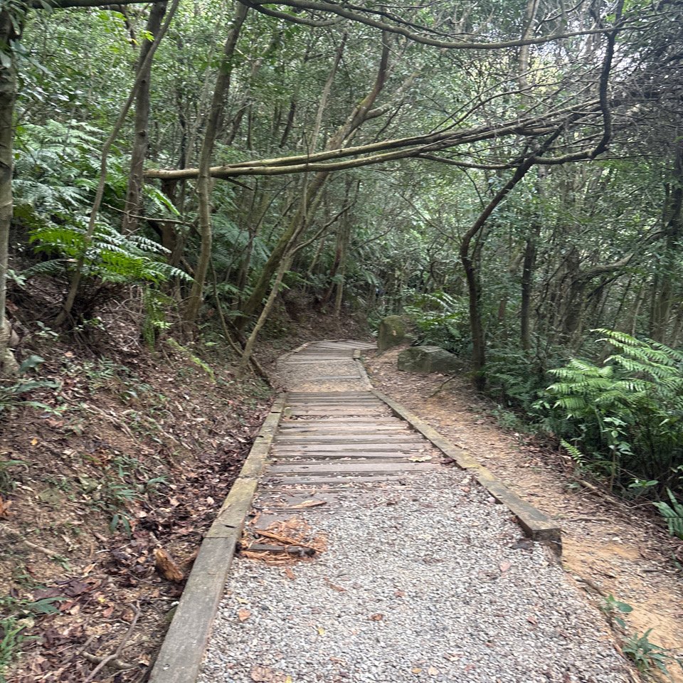 2025.10.12.碧溪_長壽坡_翠山步道封面圖