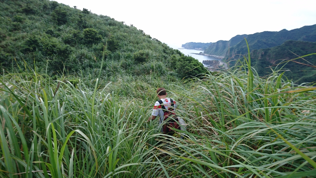 黃金七稜＊南子吝山稜105.07.18　_56408