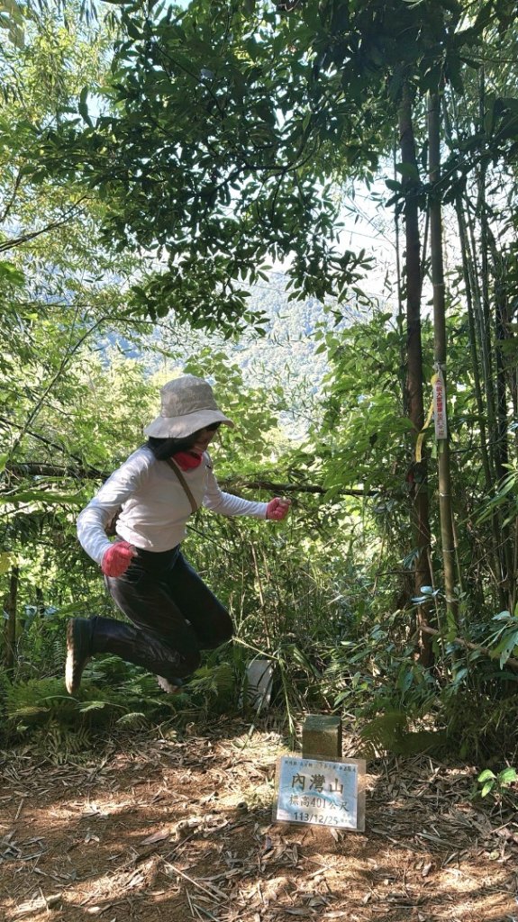 20251117新竹內灣三山四峰(內灣山.麥樹仁山南峰.麥樹仁山.白石湖山)_2939982