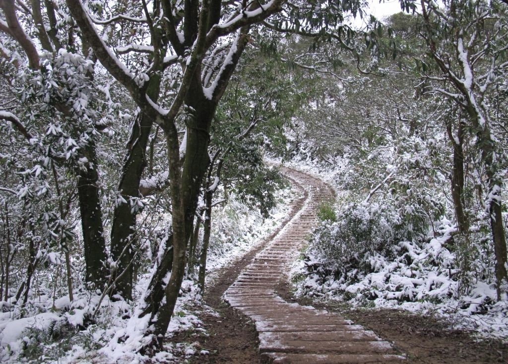 基隆姜子寮賞雪趣_30157