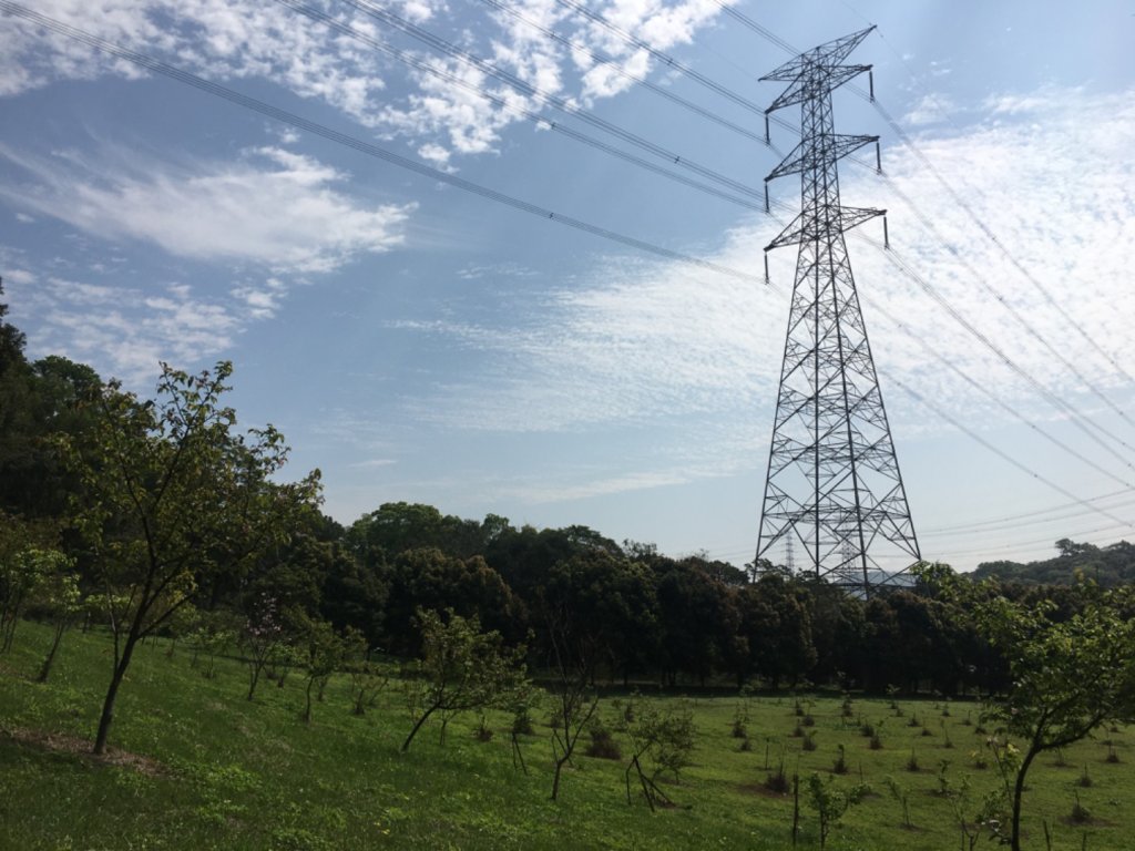 福氣步道、養生步道、長庚養生文化村_2441876