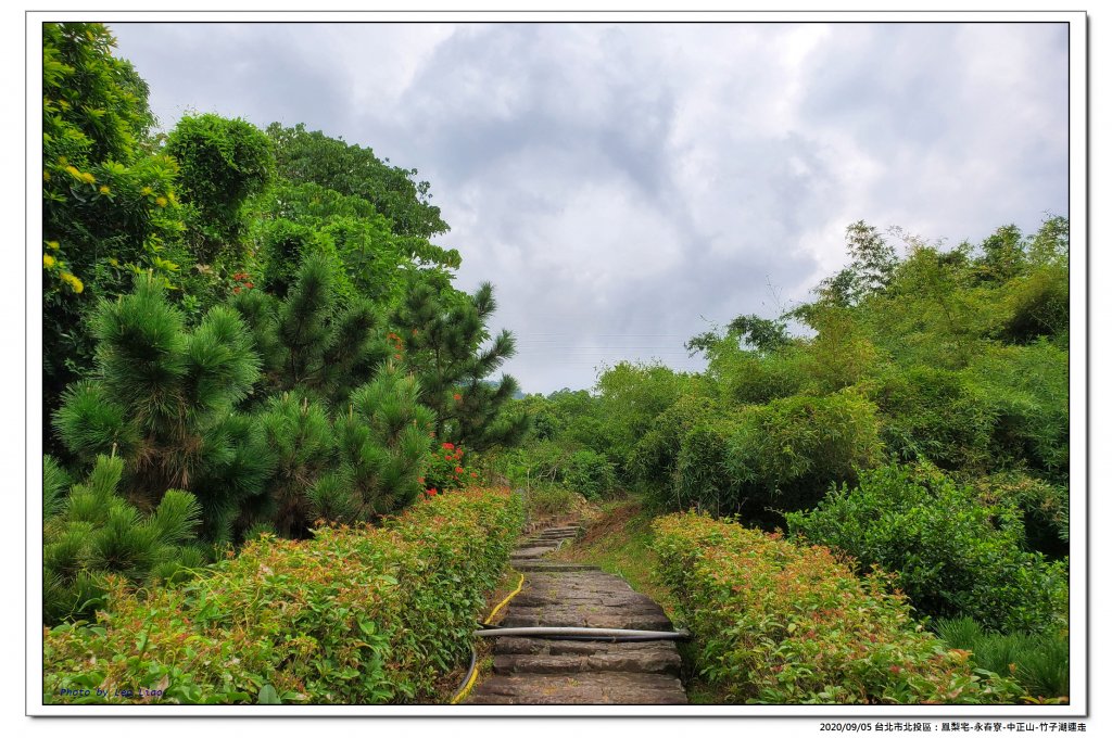 北投鳳梨宅-永春寮-中正山-竹子湖連走_1092756
