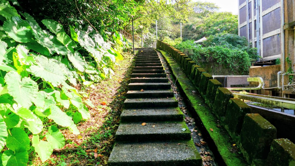 矽之長歌_2968730