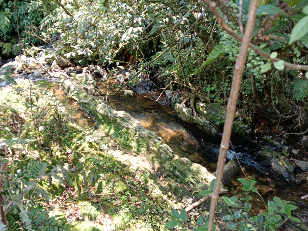 崩山坑古道+東柑腳山+後寮仔嶺+後寮子古道+後寮仔保甲路O型_2751039