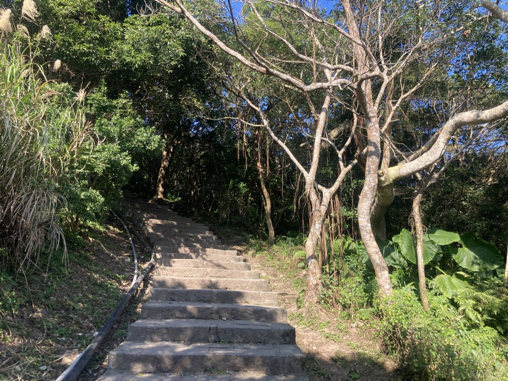 觀音山硬漢嶺登山步道+北橫古道+尖石步道_2402150