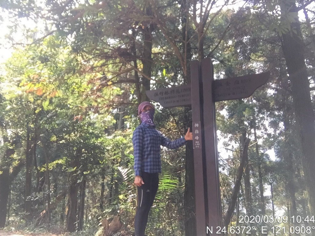 步道巡訪員│五指山步道三月巡訪日誌_872647