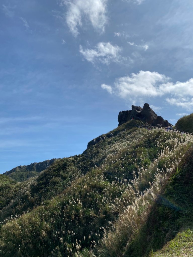 201911無耳茶壺山封面圖