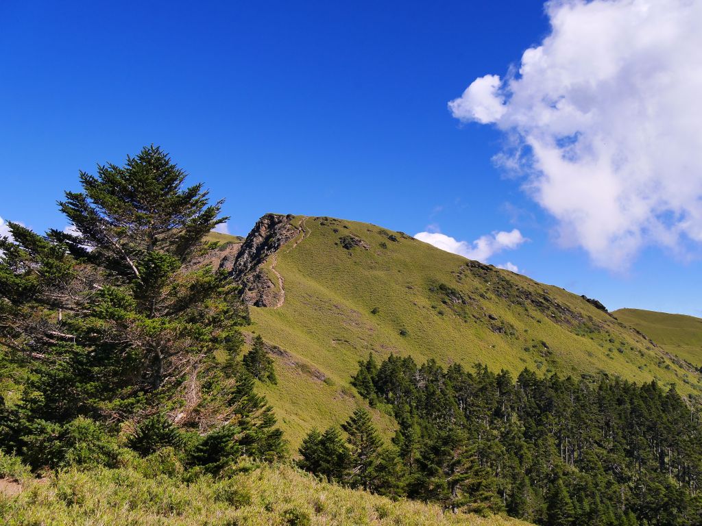 合歡北西峰逍遙遊_104402