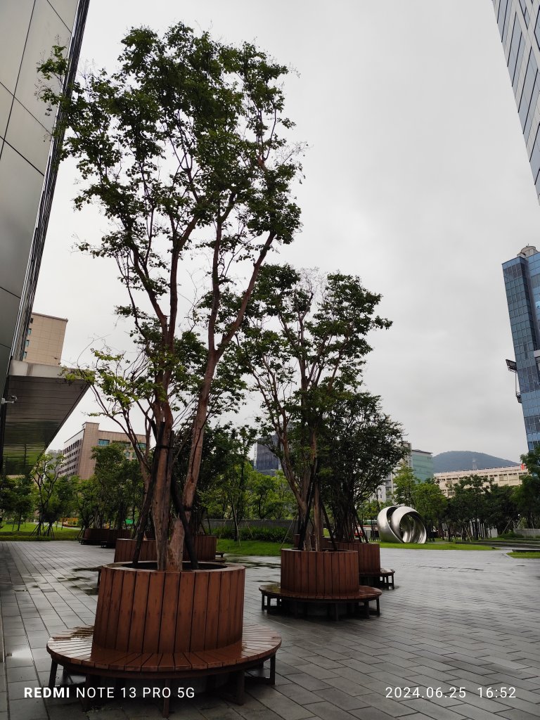 大安森林公園【走路趣尋寶】；大港墘公園、瑞陽公園【臺北健走趣】_2535199