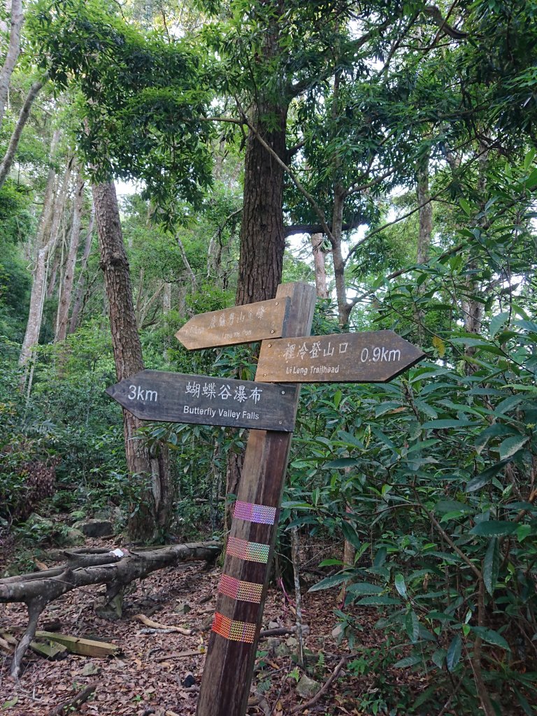 唐麻丹山_2790157