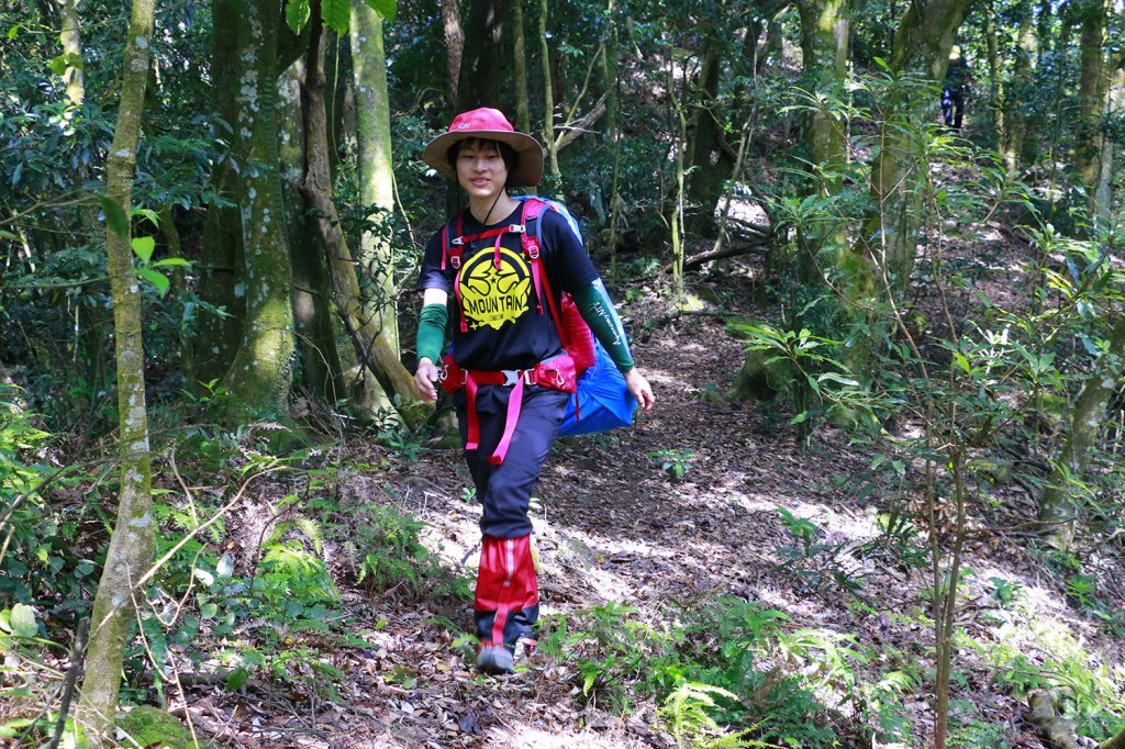 樟之細路（獅潭至彼岸橋）_735344