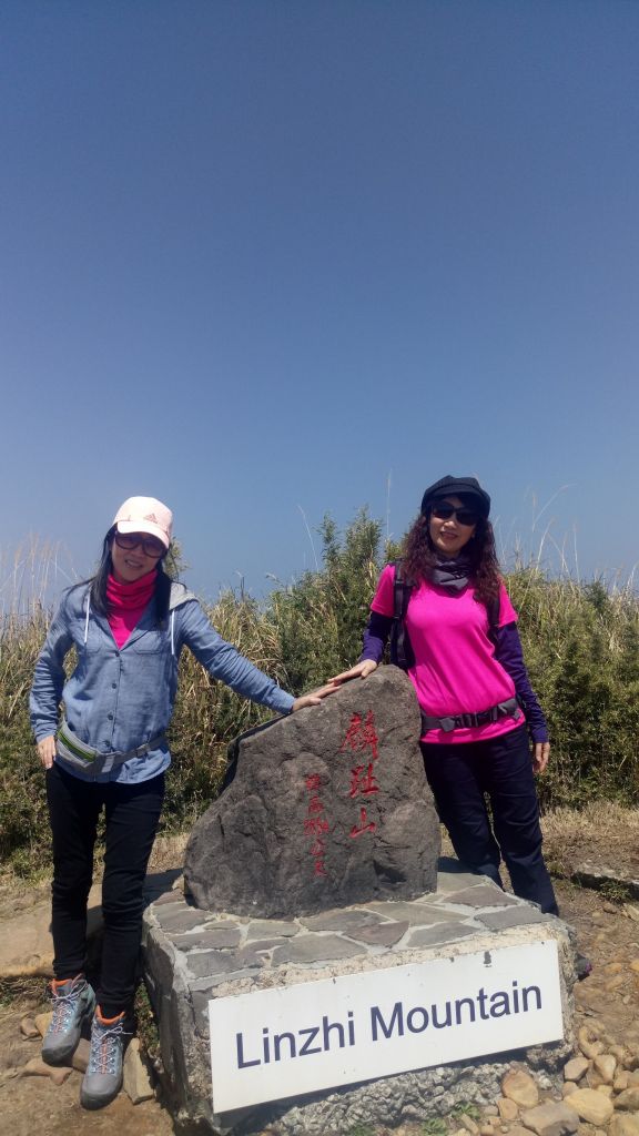 2018.03.17 郡大山麟趾山特富野_290679