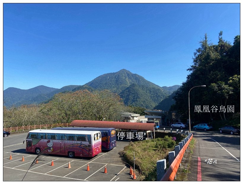 鳳凰谷步道(鹿谷鄉)_2690426