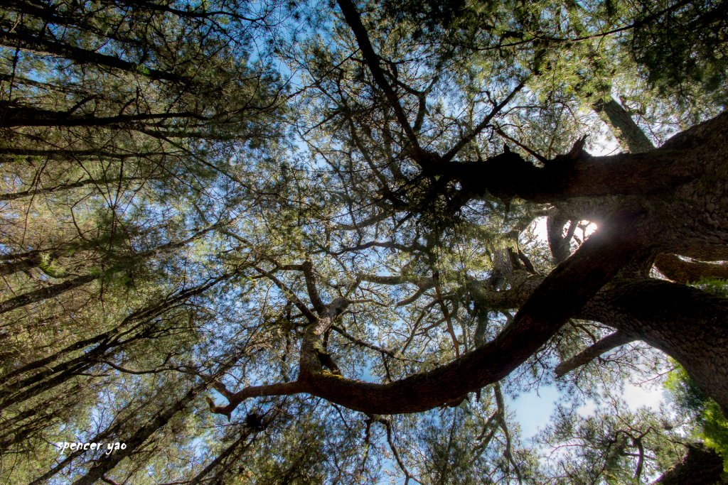 「寶島第一尖」中央尖山_632352