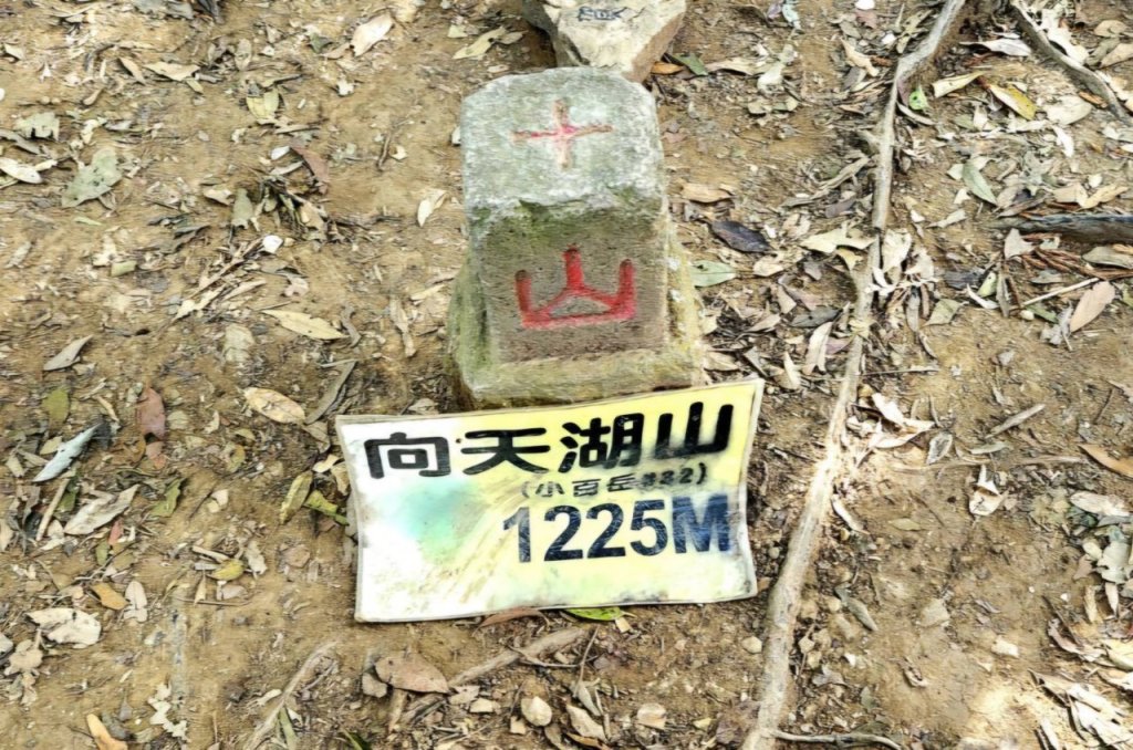 【中級山縱走 】向天湖山，三角湖山，光天高山_2742262