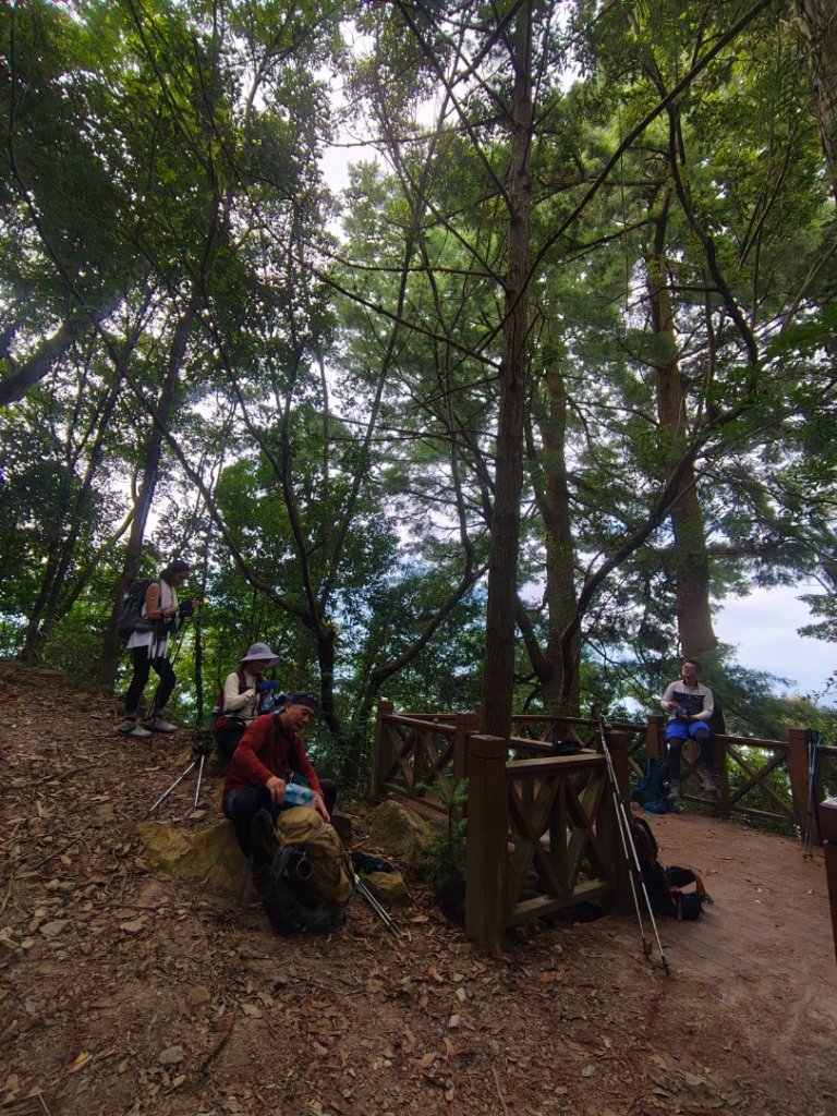 阿冷山 谷關第八雄_2877407