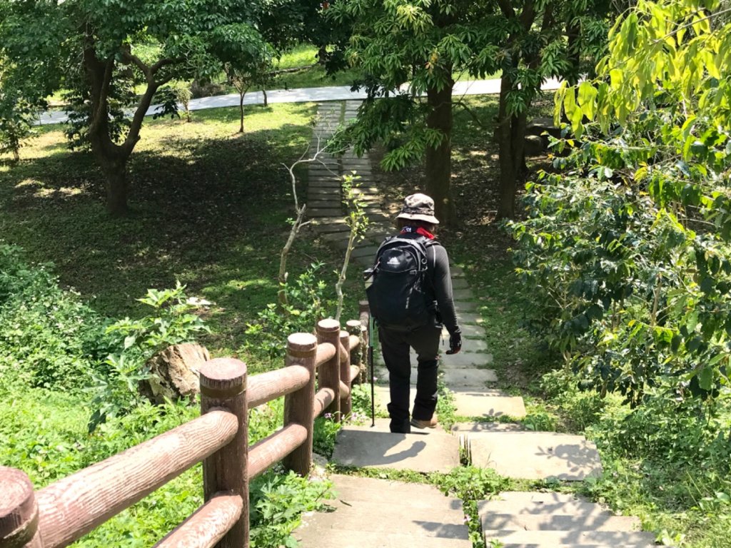 龍鳳連稜少隻鳳_1664378