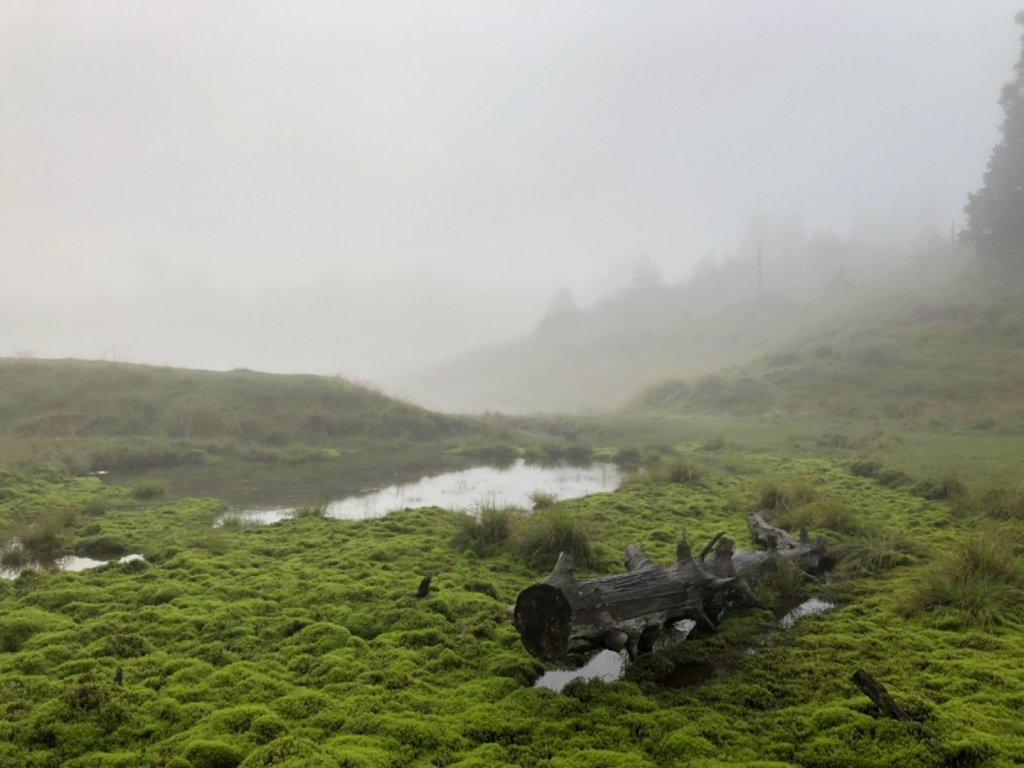 散落的珍珠-加羅湖_636604