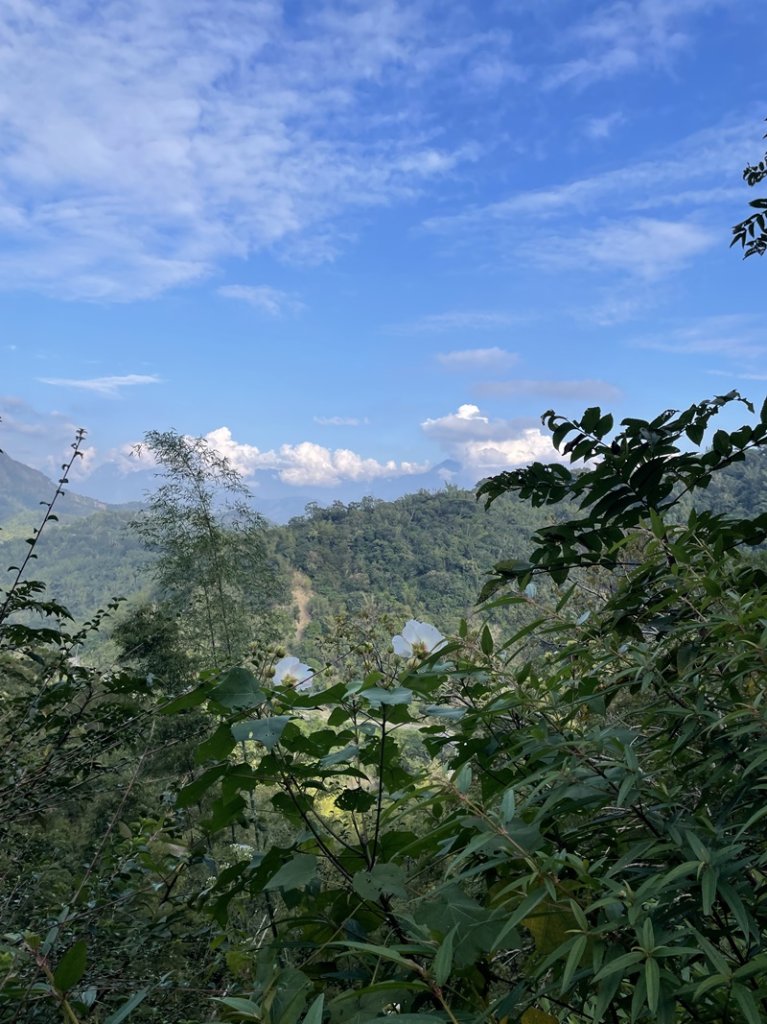 白雲山_2667140