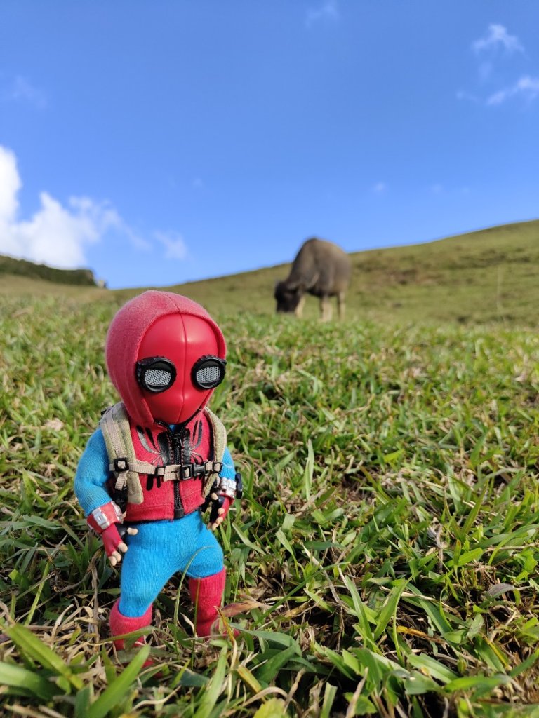 2023.11.23 桃源谷內寮線登灣坑頭山_2503665