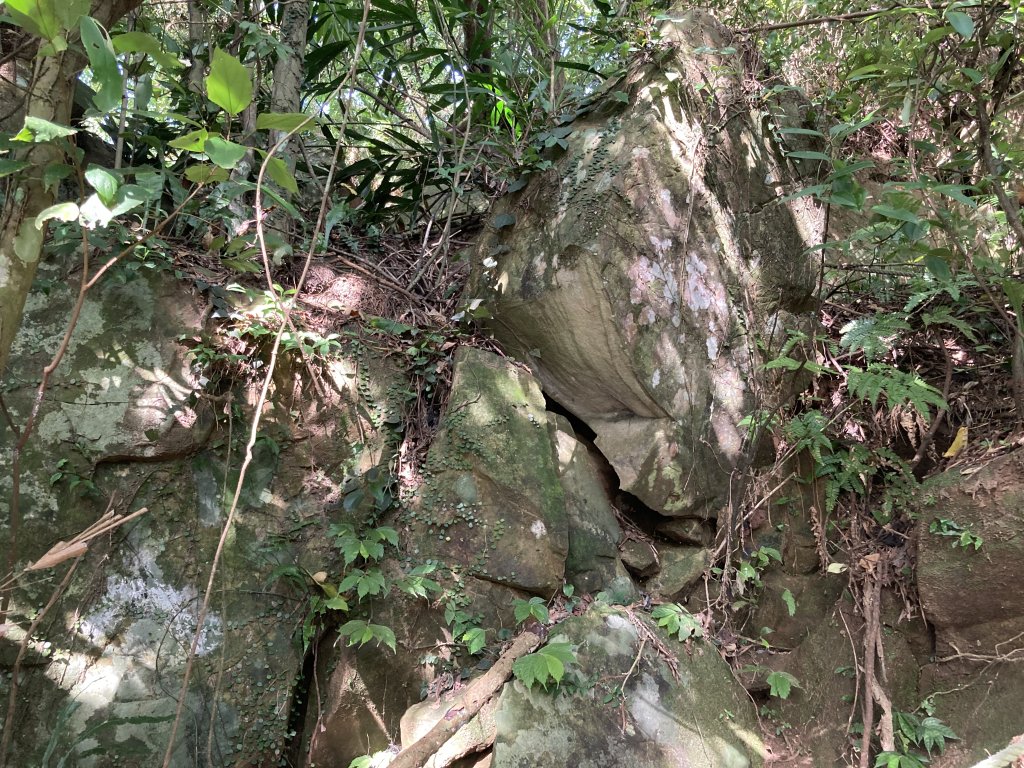 大山背麒麟步道_2538822