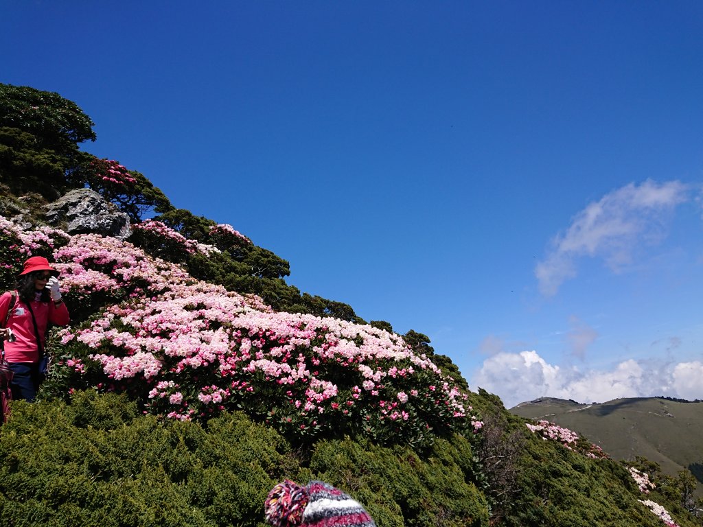 合歡山東峰_1727721