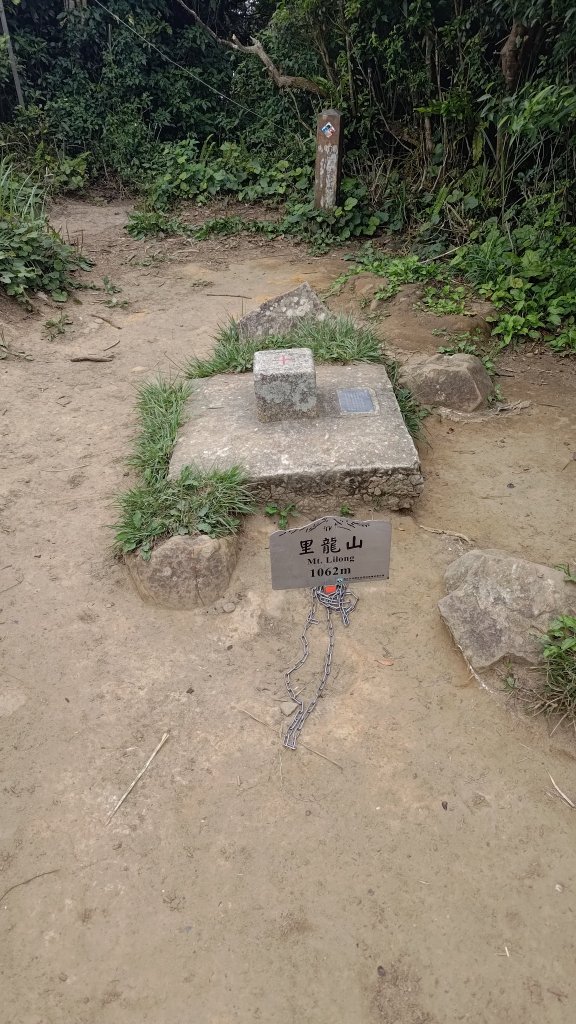 里龍山封面圖