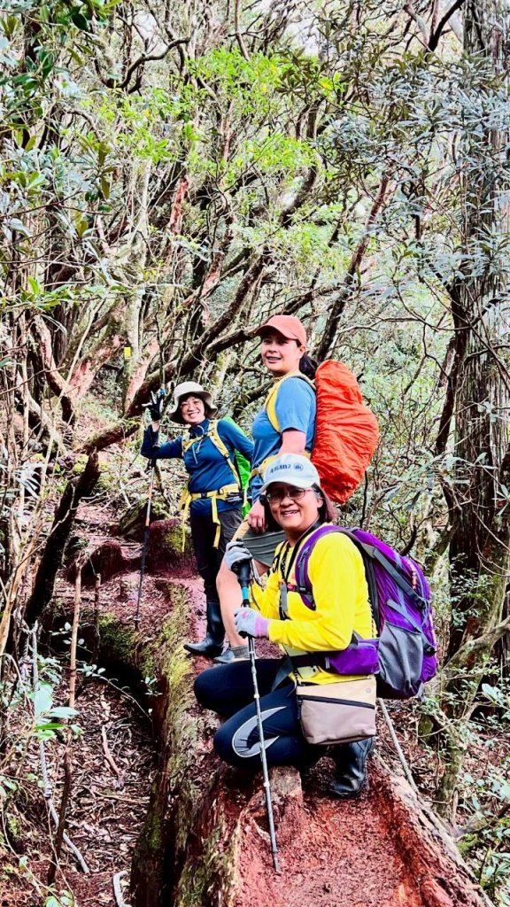 🌈4/13（日）（三）魔法森林-塔曼山~FB：熊熊趴爬走🌈_2761295