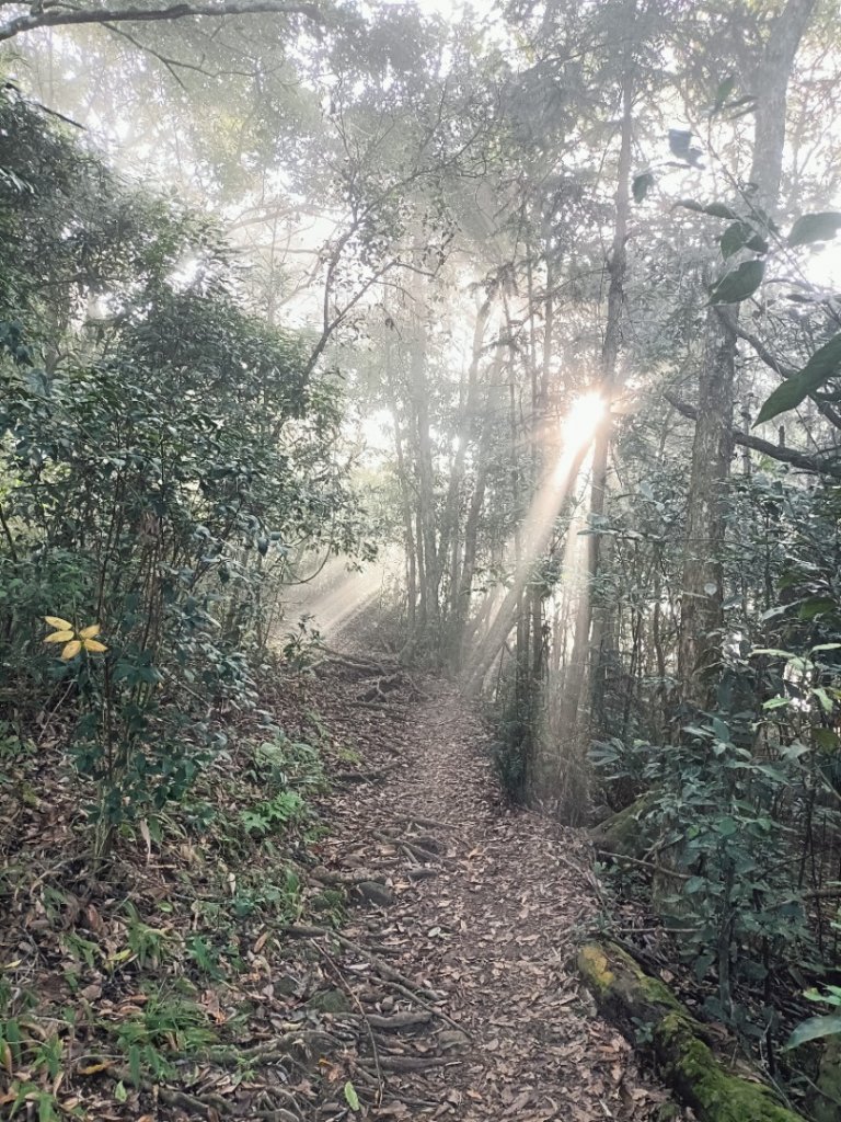 2022/12/4新竹五指山_1971476