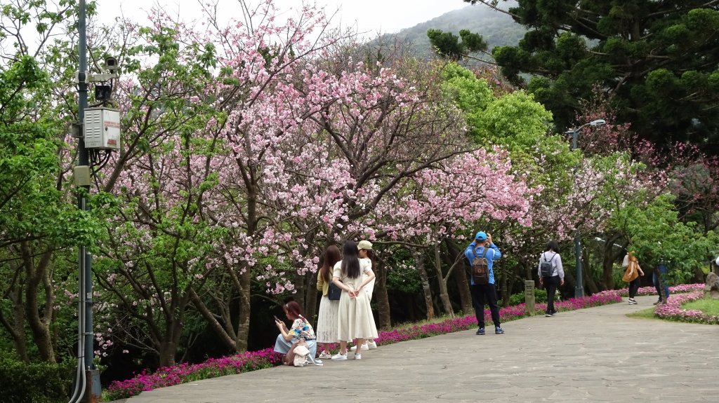 花鐘,紫明溪,橫嶺,天母古道,猴洞圳產道_2084198