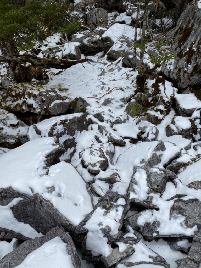 一日單攻白姑大山_821422