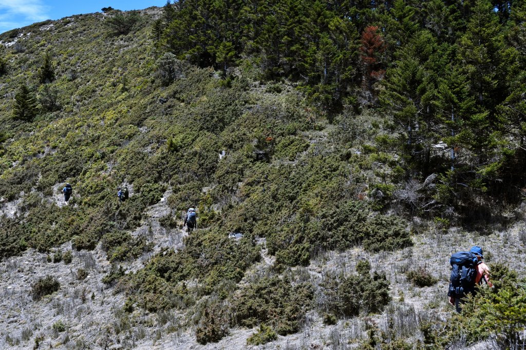 干卓萬群峰下武界_957782