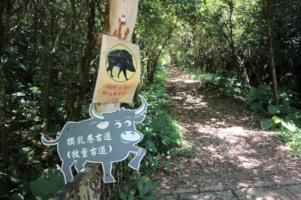 〔石碇〕烏塗溪古道 外按古道。昔日淡蘭古道南路之一段_2235872