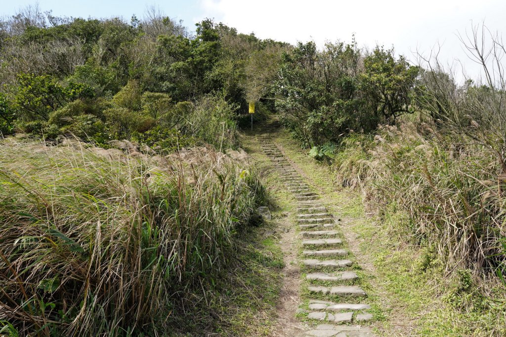 臺北 士林 香對山、頂山、杏林山、北五指山、高頂山、北頂山、馬蕃山、頂山溪山、五指山_2703233