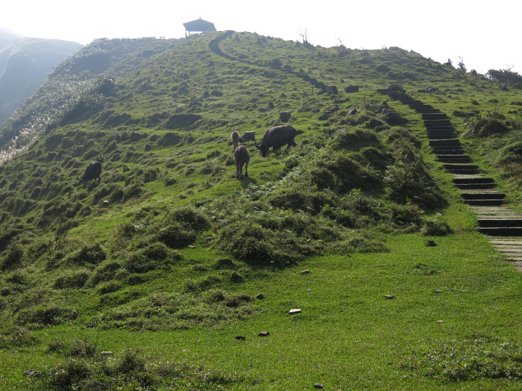 桃源谷稜線菁華縱走_48565