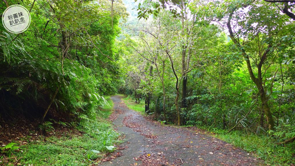 【新北瑞芳雙溪】百二崁古道、貂山古道_411673